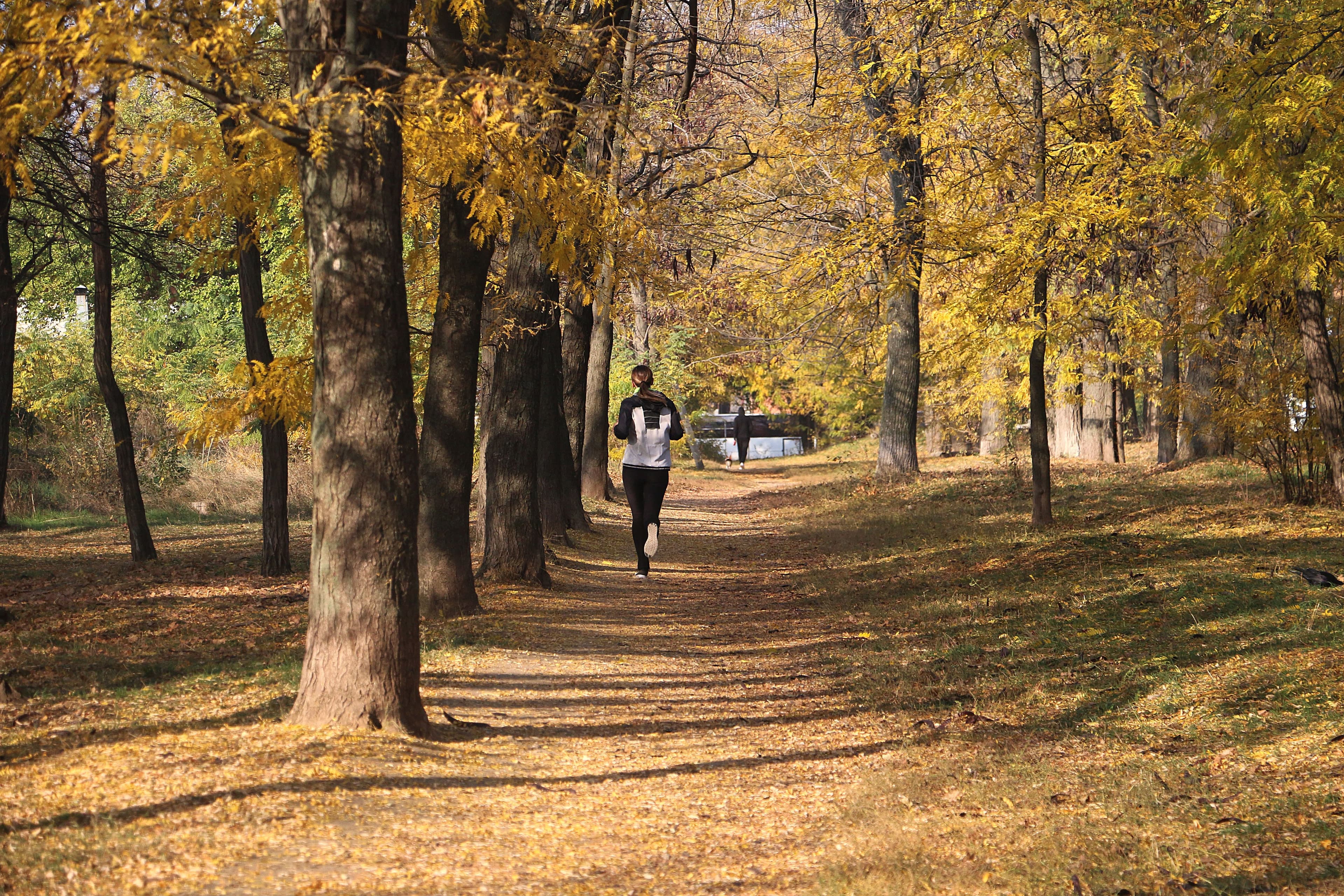 Fall Fitness Challenges: Stay Motivated as the Days Get Shorter